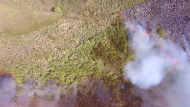 Ellenőrzött Tüzek Legelőkön Dél Amerika Drónfelvételek Füstfelhők Felett Felfedés Felülről — Stock videók