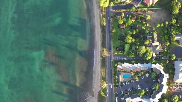 Siguiendo Cabalgó Cerca Playa Hawaii — Vídeos de Stock