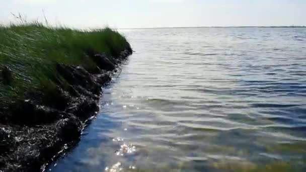 Low Angle Bay Water Lapping Edge Shore Sea Grass — Stock Video