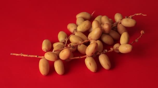 椰枣新鲜后 保健食品概念 椰枣一起放在桌上 生椰枣 — 图库视频影像