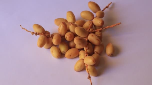 야자를 테이블 컨셉트 데이트 놓는다 Raw Date Palm Phoenix Dactylifera — 비디오