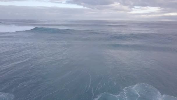 Grandes Ondas Estado Marinho Ativo Oceano Índico Largo Costa Austrália — Vídeo de Stock