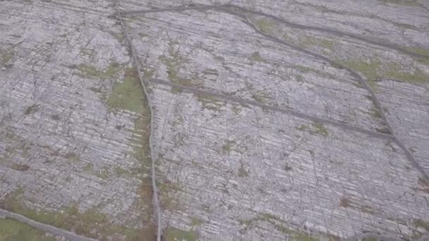 Madártávlat Inisheer Sziget Ikonikus Kőműveire — Stock videók