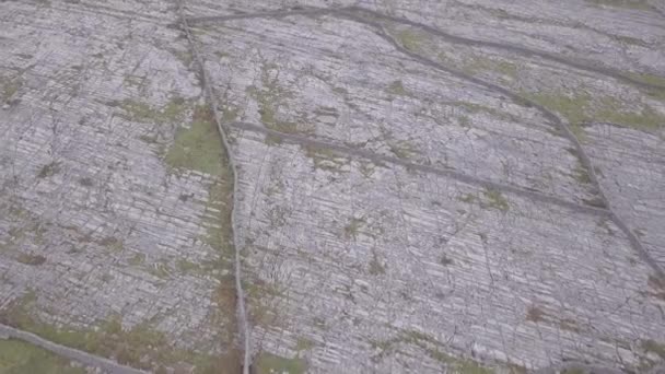 Inisheer Adası Nın Ikonik Taş Işçiliğinin Kuş Bakışı Görüntüsü — Stok video