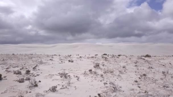 Suché Řídké Pobřežní Písečné Duny Austrálie — Stock video