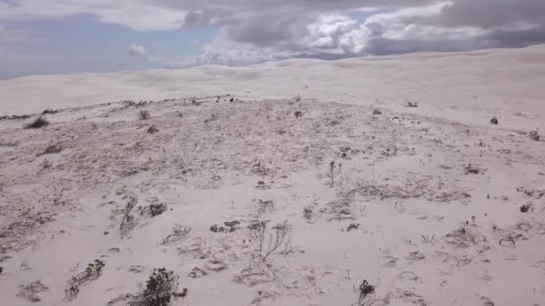 Avustralya Nın Kurak Kıyı Kum Tepeleri — Stok video