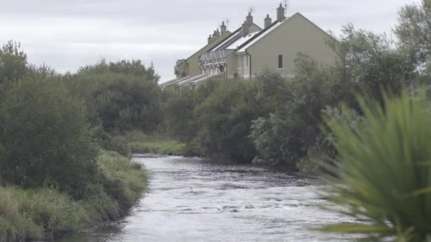 County Clare Kırsalının Güzel Bir Görüntüsü — Stok video