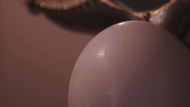 Close Tilt Shot Ostrich Egg Display — Stock Video