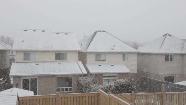 住宅街には濃くてふわふわの雪が降る — ストック動画
