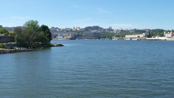 Flyover Douro Floden Tittar Freixo Bron Porto Med Person Fiske — Stockvideo