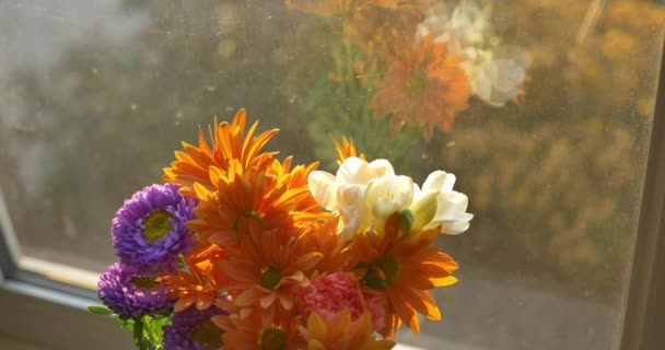 窓辺のシンプルな花の配置の台座 — ストック動画