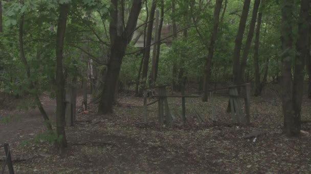 Împușcat Din Pădurea Radioactivă Abandonată Lângă Pripyat Zona Excludere Lângă — Videoclip de stoc