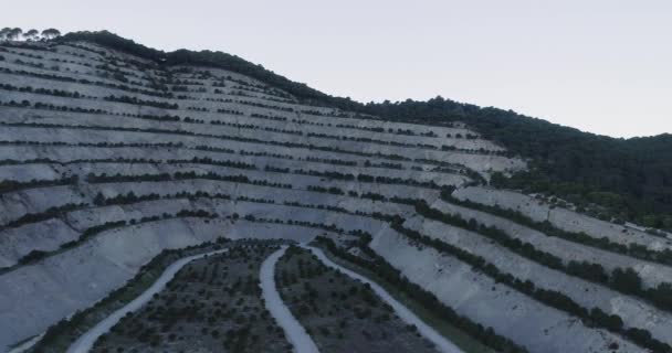 Вид Висоти Плантаційну Зону Міхасі Південна Іспанія — стокове відео