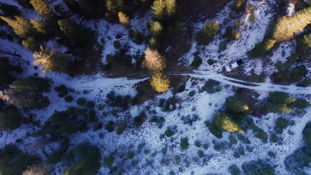 Drone Aéreo Elevándose Fuera Del Bosque Con Camioneta Mammoth Lakes — Vídeos de Stock