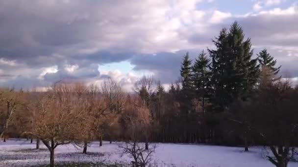 德国冬季海德堡森林上空的高空无人机高度 — 图库视频影像
