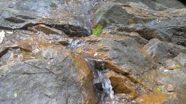 Une Petite Cascade Coulant Sur Les Pierres — Video