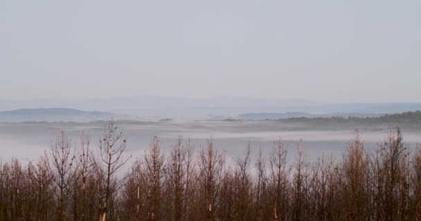 Infinito Fiume Nebbia Sul Paesaggio Montagnoso Girato Nord Del Portogallo — Video Stock