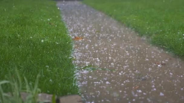 Weather_Heavy Hail Falling Sidewalk Green Lawn Fallen Leaves — Stock Video