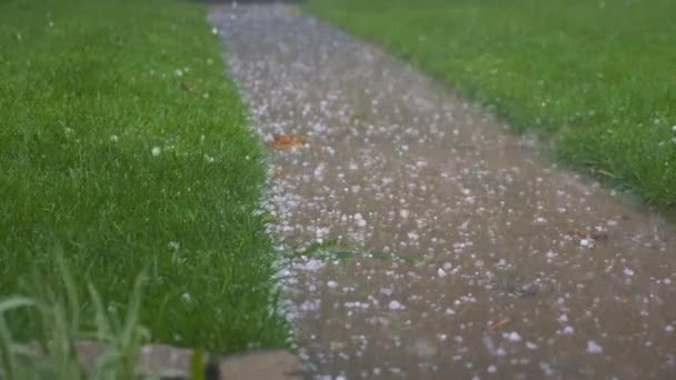 Weather Heavy Granizo Cayendo Acera Césped Verde Hojas Caídas — Vídeos de Stock