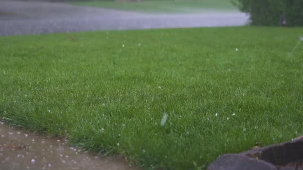 Tempo Grandine Che Cade Sul Prato Verde Sulla Strada — Video Stock