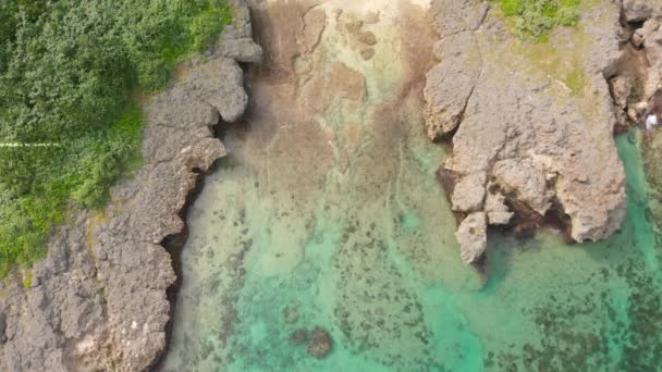 Lanzamiento Revelador Aéreo Desde Agua Turquesa Tropical Hasta Una Amplia — Vídeos de Stock