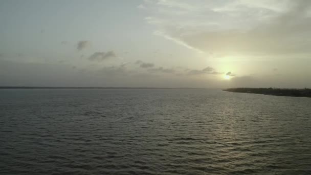 Río Que Fluye Través Selva Amazónica Atardecer Sur Surinam Aérea — Vídeos de Stock