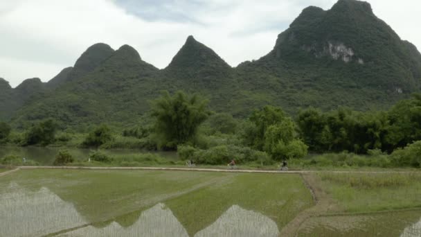 Tracking People Cycling River Yangshuo Mirror Reflection Mountains Rice Paddy — Stock Video