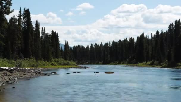 Time Lapse Van Een Rivier Een Bos Blauwe Lucht Wolken — Stockvideo