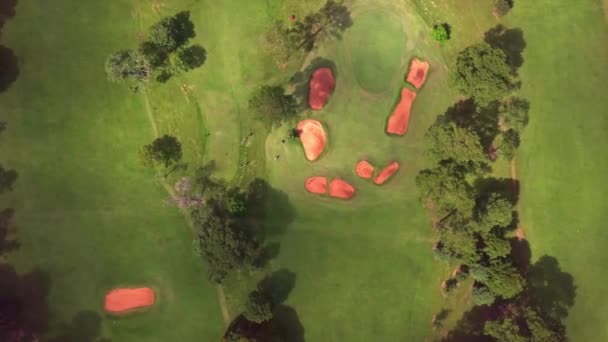 Jugadores Golf Green Club Golf Tacuru Argentina Sudamérica Vista Aérea — Vídeos de Stock