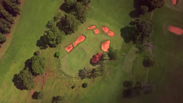 Golf Kulübü Tacuru Arjantin Güney Amerika Hava Görüntüsü Görüntüleri Yeşil — Stok video