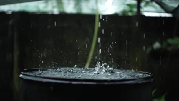 大雨滴灌满雨水收集桶 特写慢动作 — 图库视频影像