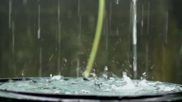 Krople Deszczu Spadające Napełniające Zbiornik Wody Deszczowej Zbliżenie — Wideo stockowe