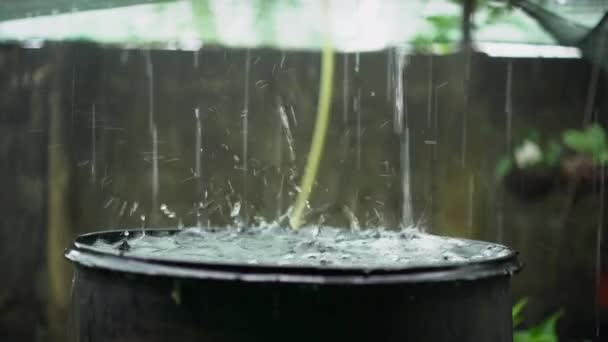 Fuertes Gotas Lluvia Llenando Barril Recolección Agua Lluvia Primer Plano — Vídeos de Stock