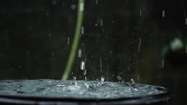 Ciężkie Krople Wody Deszczowej Wpadające Beczki Wody Powolne Zbliżenie Ruchu — Wideo stockowe