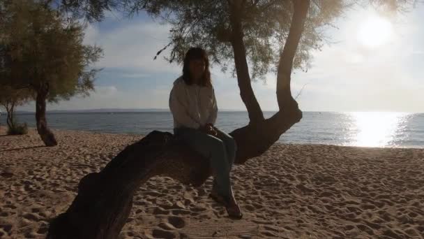 パノラマスマイルかわいい女性は黄金の時間でビーチで木の幹に座っています — ストック動画