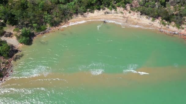 Drohnenflug Über Der Tropischen Küste Von North Queensland Der Nähe — Stockvideo