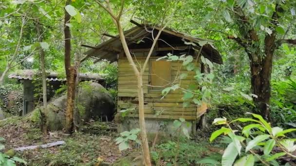 泰国森林中被遗弃的房屋 — 图库视频影像