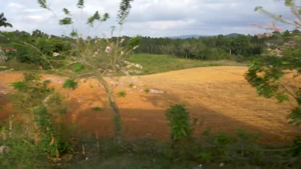 Pasando Por Campo Arado Una Casa Secado Tabaco Valle Viales — Vídeo de stock