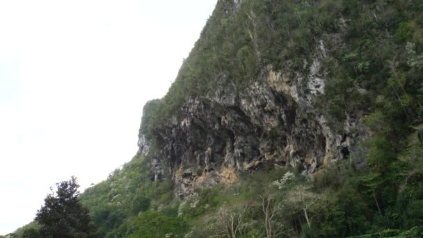 Escalador Palenque Tiro Más Ancho — Vídeo de stock