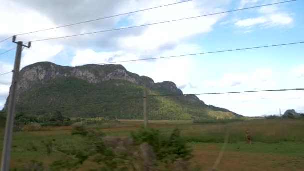 Viales Valley Pohled Jedoucího Auta Mogoty Hory Farmářské Domy Kubánské — Stock video