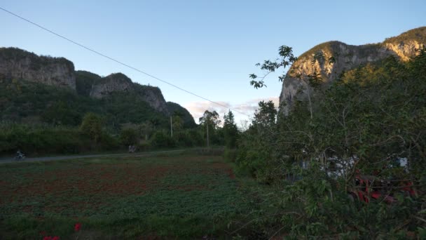 Vistas Valle Viales Mogotes Montañas Casas Labradores Paisaje Terrestre Cubano — Vídeo de stock