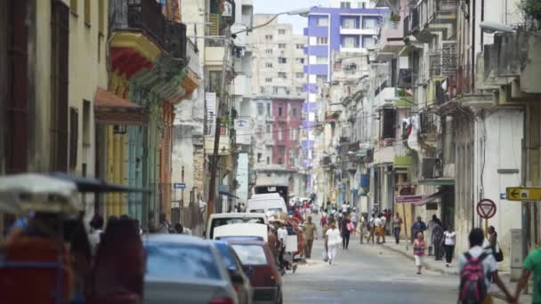 Día Plano Habana Cuba Calles Personas Caminando Coches Vehículos Exterior — Vídeo de stock