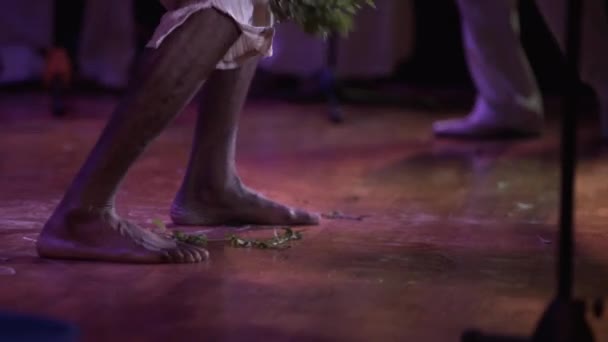 Zblízka Bosá Tanečnice Parketu Zelené Listy Podlaze Další Tanečnice Nohy — Stock video