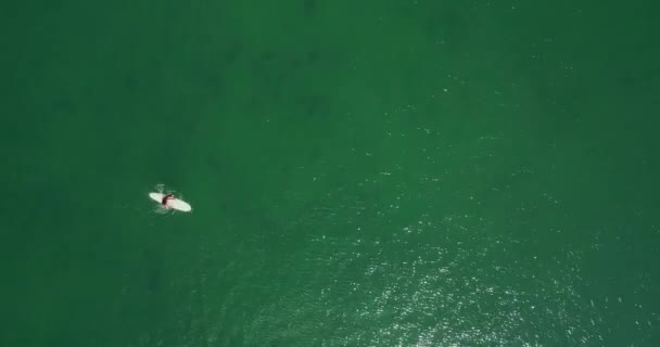 Дівчина Сидить Білій Дошці Чистій Зеленій Воді Повітряний Дрон Верхній — стокове відео