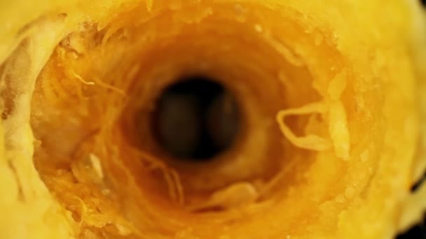 Pulling Back Core Gourd Couple Seeds Bottom Core Exiting Core — Stock Video