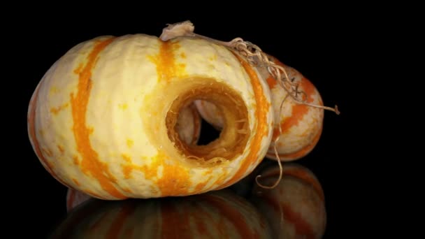 Starting One Decorative Gourd Multi Stranded Stem View Two Others — Stock Video