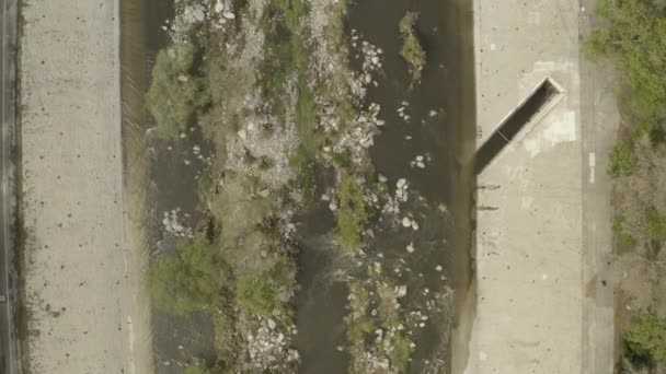 Ansicht Von Oben Auf Den Los Angeles River Mit Bäumen — Stockvideo