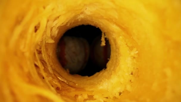 Moving Core Gourd Macro View Interior Showing Lots Texture Details — Stock Video