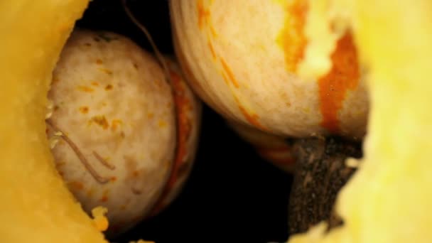 Starting Macro View Two Gourds One Turned Stem Moving Back — Stock Video