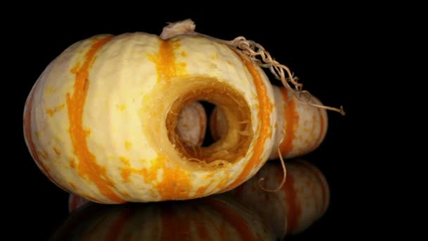 Börja Med Dekorativ Gourd Med Multi Stranded Stam Sikte Och — Stockvideo